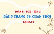 Bài 5 trang 58 Toán 8 Chân trời sáng tạo Tập 2